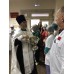 22 января 2022. Мулино. Крещенский молебен в военном госпитале.